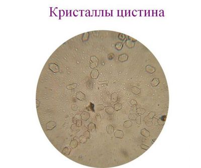 Цистин
