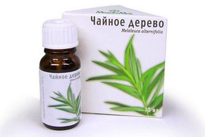 масло чайного дерева