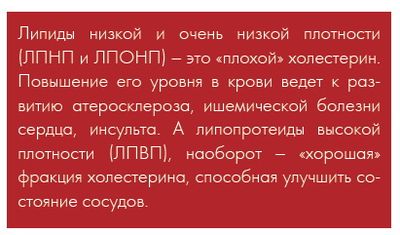 Функции ХС