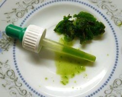 закапать сок коланхоэ