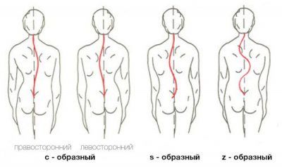 Картинка 3
