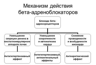 Бета-адреноблокаторы