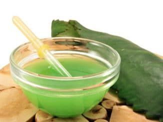 Mature kalanchoe spray for treating rhinitis
