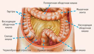 Какие есть виды рака