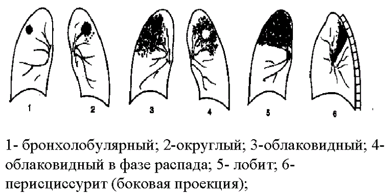 Типы