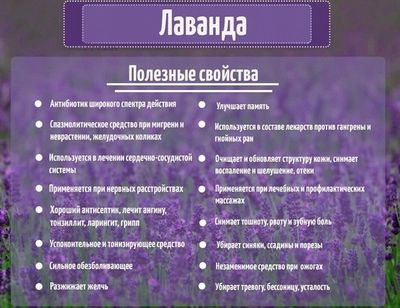 Польза травы