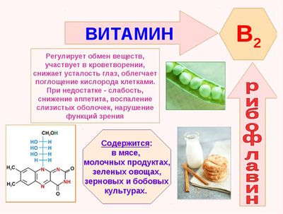В2