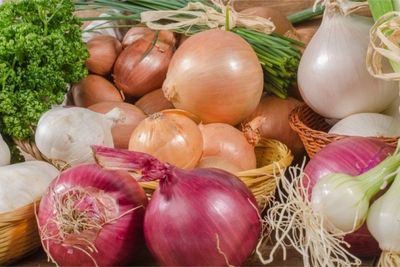 лук репчатый для потенции