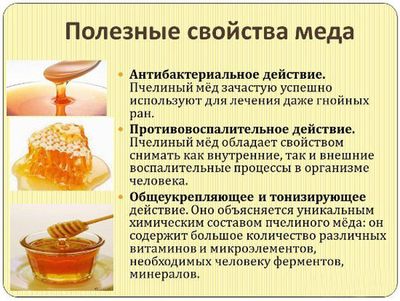 Целебные свойства меда
