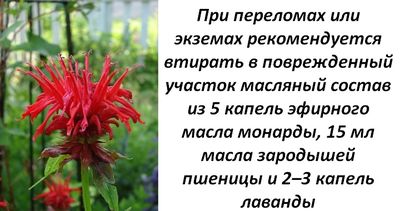 Как применять при переломе