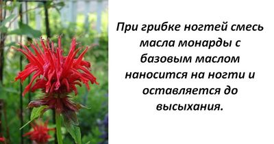 Здоровье ногтей