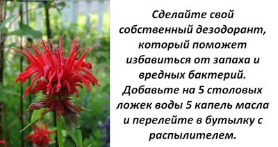 Ценные советы