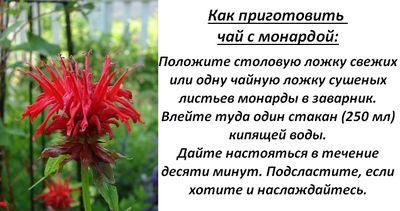 Релакс в чашке