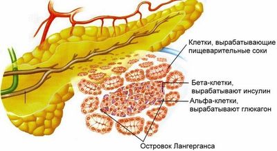 Симптомы нехватки ферментов поджелудочной железы