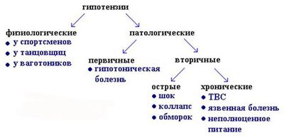 формы гипотензии