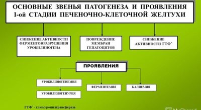 Патогенез и проявления печеночно-клеточной желтухи