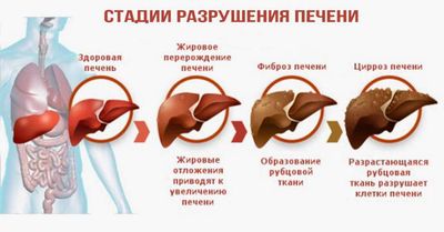 Особенности состояния печени при гепатите С