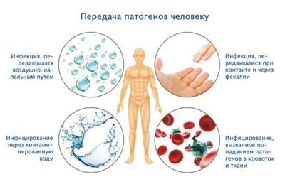 puti-peredachi-infekcii