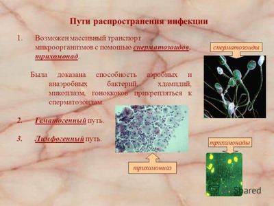 Лимфогенный путь проникновения