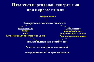Патогенез ПГ при циррозе
