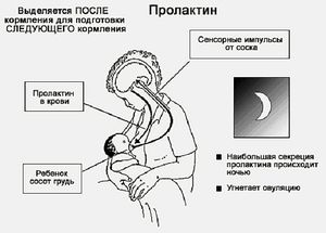 Какие есть противопоказания при повышеном пролактине