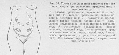 Точки прослушивания тонов сердца