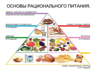 Рациональное питание