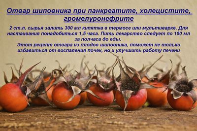 Отвар для желчного пузыря