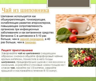 Полезные советы
