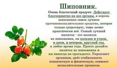 Лечебные свойства