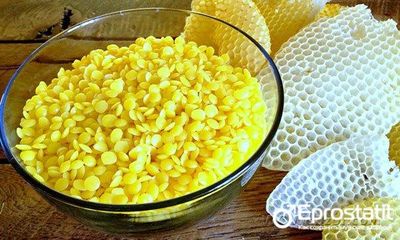 пчелиные соты