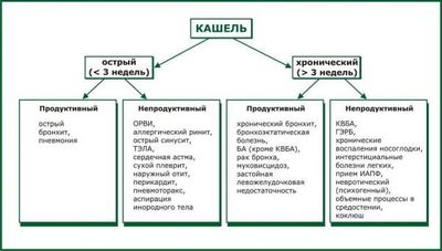 vidy-kashlya-i-zabolevaniya-provociruyushhie-ix