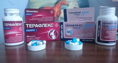 состав, формы выпуска терафлекс адванс