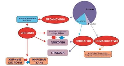 гормоны поджелудочной железы
