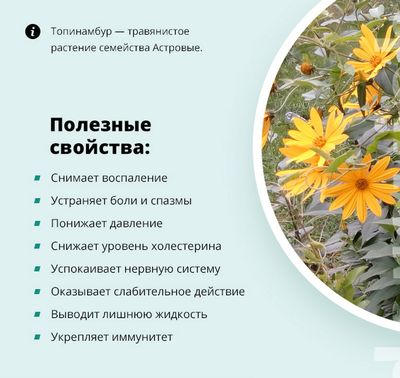 Польза продукта