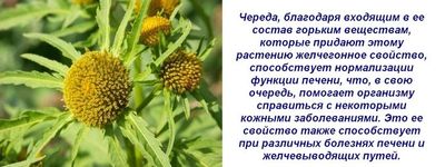 Медицинские показатели
