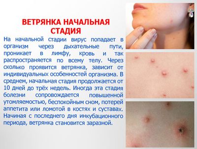 проявляются первые симптомы