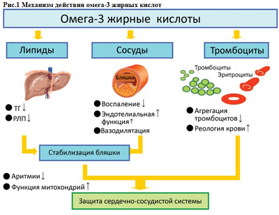 Механизм действия