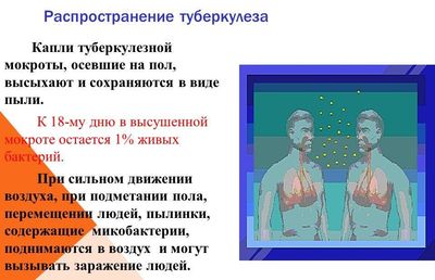 Распространение туберкулеза