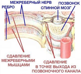 Картинка 3