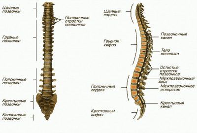 Иллюстрация 4