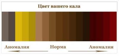 нормальный цвет кала